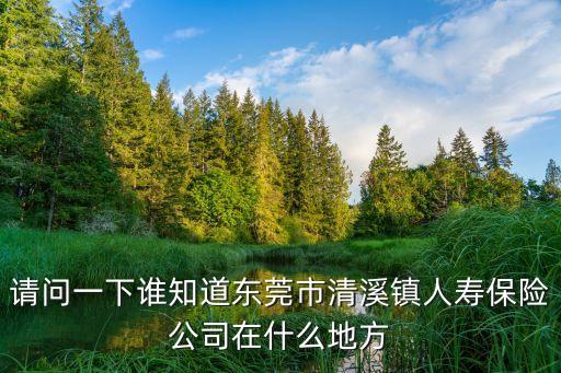 請問一下誰知道東莞市清溪鎮人壽保險公司在什么地方