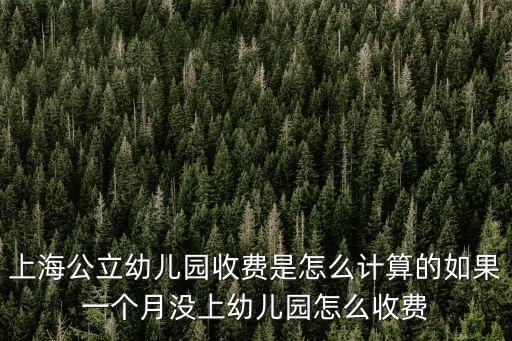 上海市福山幼兒園收費標準，上海幼兒園學費生活費一般是多少