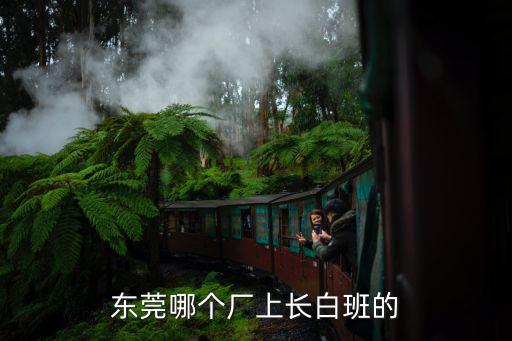 東莞長白班的工廠哪里最多，東莞只上白班的電子廠有哪些