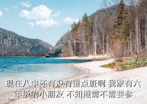 現(xiàn)在八中還有沒有重點(diǎn)班啊 我家有六年級(jí)的小朋友 不知道需不需要參