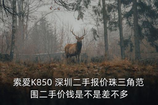 國際冠軍杯 深圳 轉讓，誰能告訴我深圳哪里可以買到便宜的阿迪達斯板鞋除了專賣店