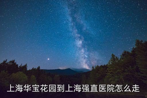 上海市華寶小區(qū)，這是上海市什么小區(qū)叫什么名字