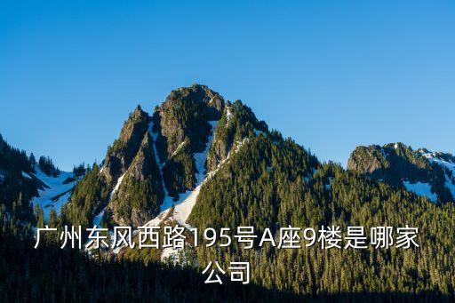 廣州東風西路195號A座9樓是哪家公司