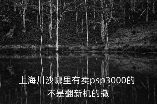 上海市川沙電玩城，上海川沙哪里有賣psp3000的 不是翻新機(jī)的撒