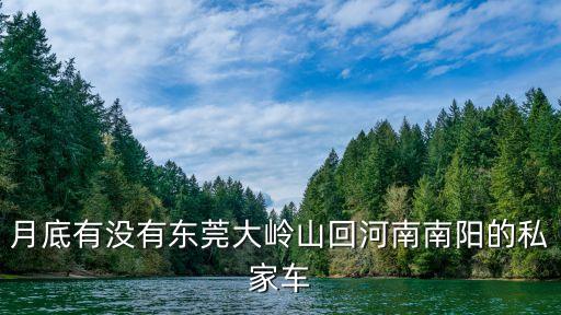 月底有沒有東莞大嶺山回河南南陽的私家車