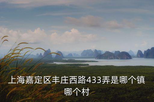上海嘉定區(qū)豐莊西路433弄是哪個鎮(zhèn)哪個村