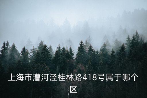 上海市漕河涇是哪個區，上海的漕河經濟開發區屬于哪個位子