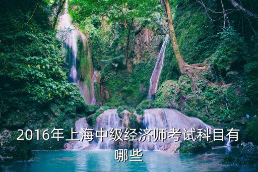 上海市中級職課程，上海市中等職業教育網絡課程