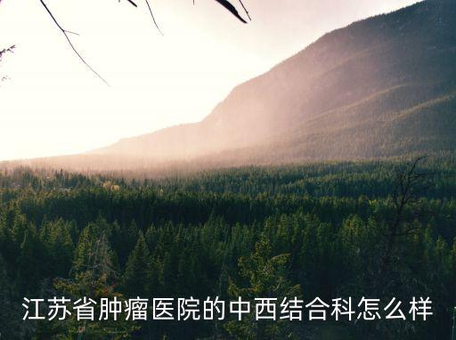上海市腫瘤醫院和江蘇省腫瘤醫院，治療腫瘤的最好的醫院有哪幾所