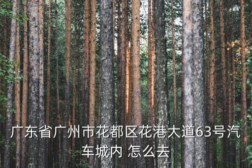 廣州花港路，花都花港大道坐什么車去荔灣