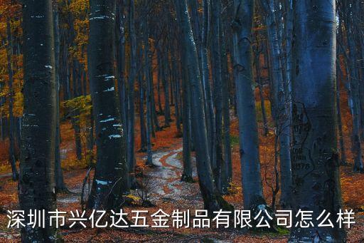 深圳市興億達(dá)五金制品有限公司怎么樣
