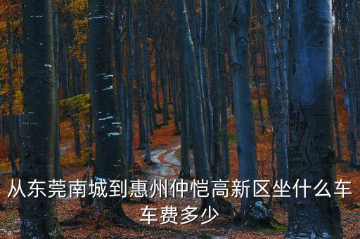 從東莞南城到惠州仲愷高新區(qū)坐什么車(chē)車(chē)費(fèi)多少