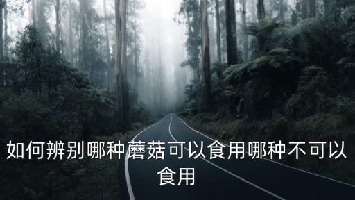廣州摩根雨傘，怎么分別毒蘑菇