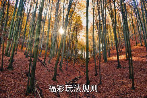 福彩玩法規則