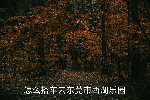 東莞西湖樂園有停車場嗎，從東莞莞城怎么去西湖樂園