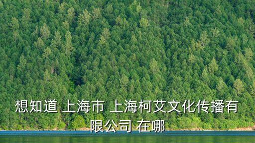 上海市臺(tái)路515弄10號(hào)，想知道 上海市 上海柯艾文化傳播有限公司 在哪