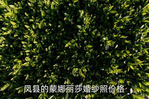 廣州蒙娜麗莎坑人嗎，廣州蒙娜麗莎婚紗攝影場(chǎng)地離哪個(gè)地鐵站最近