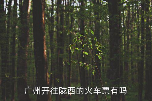 廣州開往隴西的火車票有嗎