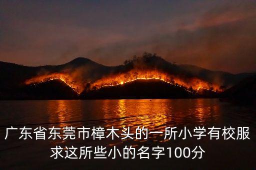 廣東省東莞市樟木頭的一所小學(xué)有校服求這所些小的名字100分