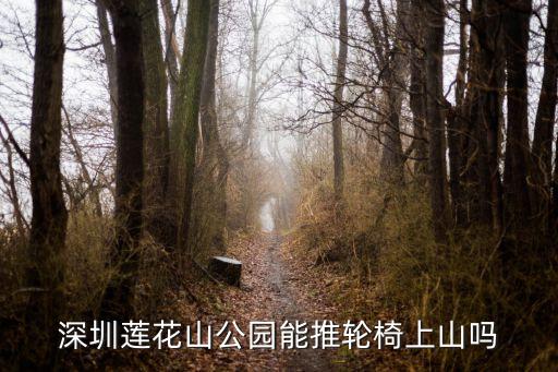 深圳蓮花山公園能推輪椅上山嗎