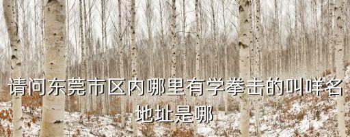 東莞男學員拳擊課，想在東莞地區學習抬拳道請問誰知道在東莞市區內哪里有培訓學校