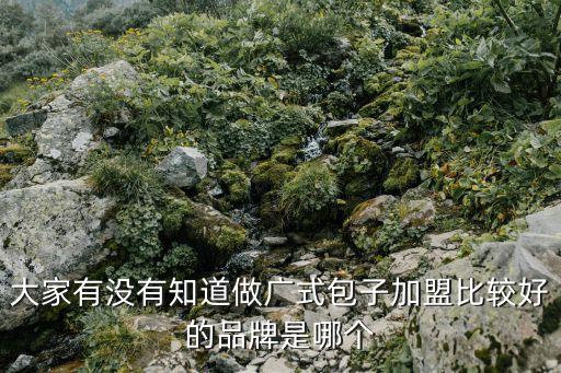 大家有沒有知道做廣式包子加盟比較好的品牌是哪個
