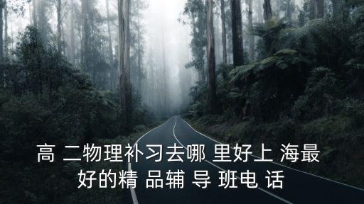 上海市高二物理輔導，高 二物理補習去哪 里好上 海最 好的精 品輔 導 班電 話