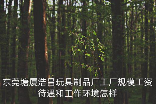 東莞塘廈浩昌玩具制品廠工廠規(guī)模工資待遇和工作環(huán)境怎樣