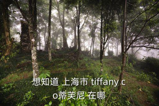 上海市蒂芙尼品牌，Tiffany特A品上海哪里買的到