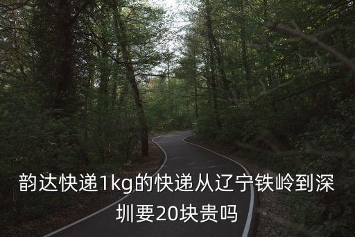 韻達快遞1kg的快遞從遼寧鐵嶺到深圳要20塊貴嗎