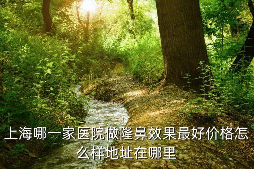 上海市勵學(xué)路1375號，上海哪里有3D打印的