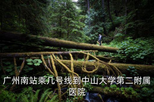 廣州南到中山二院，從廣州南站 到中山醫科大學附屬二院怎么坐車