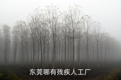 東莞哪有殘疾人工廠