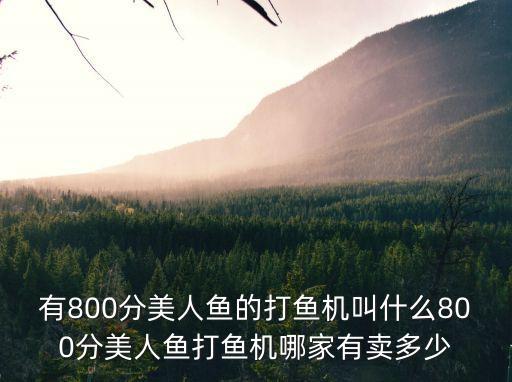 有800分美人魚的打魚機叫什么800分美人魚打魚機哪家有賣多少