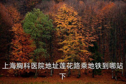 上海胸科醫院地址蓮花路乘地鐵到哪站下