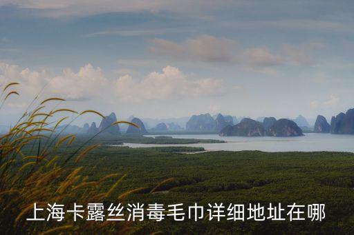 上海卡露絲消毒毛巾詳細地址在哪
