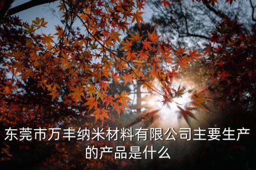東莞市萬豐納米材料有限公司主要生產的產品是什么