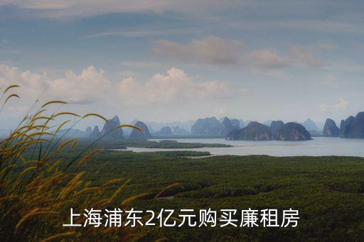 上海市公租房 鼓勵 購買，上海的公租房有補貼嗎