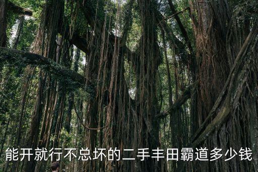 能開就行不總壞的二手豐田霸道多少錢