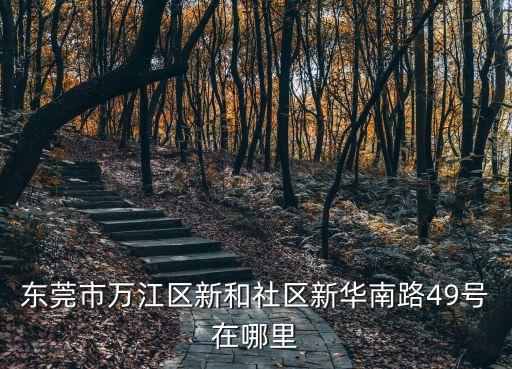 東莞市萬江區(qū)蓓蕾舞蹈，蘿卜牛雜哪學(xué)好東莞東城有專業(yè)培訓(xùn)蘿卜牛雜嗎