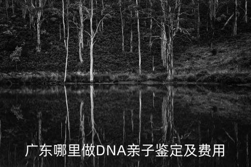 廣州市dna鑒定中心，在廣州申請出生公證書 要驗DNA 請問去廣州哪里驗