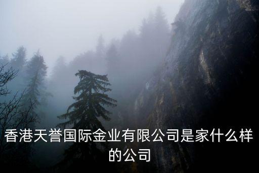 香港天譽國際金業(yè)有限公司是家什么樣的公司