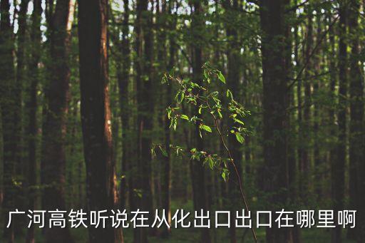 廣河高鐵聽說在從化出口出口在哪里啊