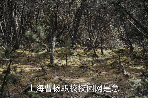 上海市曹楊職校導(dǎo)介詞，上海曹楊職校校園網(wǎng)是急