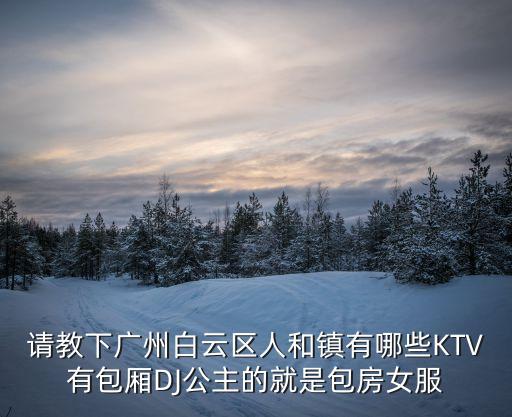 請教下廣州白云區人和鎮有哪些KTV有包廂DJ公主的就是包房女服
