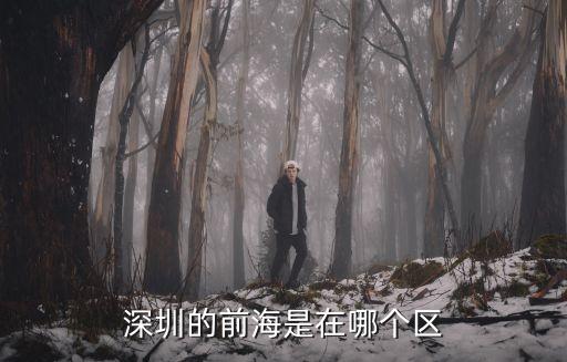 深圳前海樞紐，想知道 深圳市廣深沿江高速公路前海站在哪