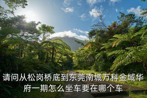 請問從松崗橋底到東莞南城萬科金域華府一期怎么坐車要在哪個(gè)車
