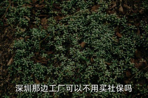 深圳那邊工廠可以不用買社保嗎