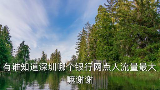 深圳銀行服務網點排名，深圳哪個銀行最好