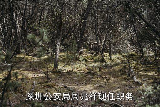 深圳公安局周兆祥現(xiàn)任職務(wù)